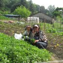 덕호농장 이미지