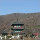 백비