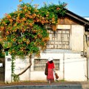 동방정미소 이미지