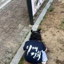 푸르니이매어린이집 | 분당 이매동 경희이매태권도 유치부 — 주2회에서 주5회로 바꾼 이유
