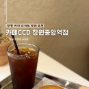 카페CCD창원 - 45845 | 카페CCD창원
