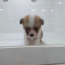 바우스토리 이미지