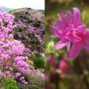 진달래빌딩 이미지