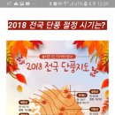 2018년 전국 단풍지도 - 관광정보 이미지