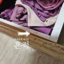 효도방역