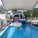 민들레미코 이미지