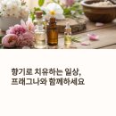 프래그나(Fragna) 블로그 소개