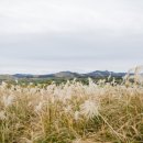 오름민박 이미지