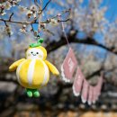 충장22문화사업단 | 경북 매화명소 성주 회연서원에서 운영한 야외가족사진간 백매원인생샷 촬영후기