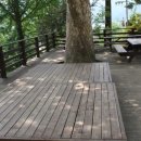 분원초등학교 이미지