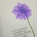 시인이 보내는 음악편지 | [2025.10.17(금)] 배석규의 아침을 여는 음악- 가을편지