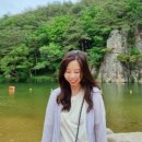 쌍곡반점 네이버블로그