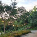 달아민박 이미지