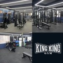 킹콩짐 이미지