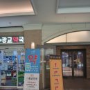 중흥2층약국 | [광교중앙역네일] 한올뷰티광교점, 가을 맞이 네일아트 후기