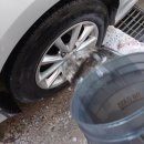 공주고고셀프세차타운 이미지