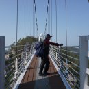 꽃섬투어 이미지