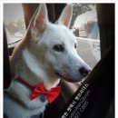 지에스25 성산제일점 이미지