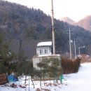 서후리141 이미지