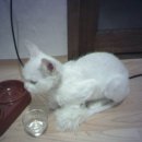 잠원동016 이미지