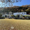 정자가든식당 | 경주 건천 맛집 추천 : 락원 가든 - 양푼이 동태탕 오리고기 내돈내산 현지인 맛집