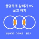 UFC 국제체육관 석남점. 복싱, 킥복싱, 무에타이, MMA 이미지