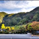 알프스밸리 캠핑장 이미지