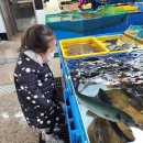 서생상회 이미지