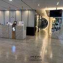 에스덤의원 이미지