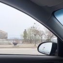 춘천소양강김치 이미지