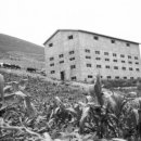 수산나농장 이미지