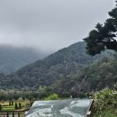 구절초가는길 | 2025 정읍 구절초축제 전 방문후기 ㅣ구절초 개화현황ㅣ임실 붕어섬 생태공원