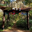 충북행정사사무소 이미지