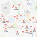 구피샵청주 이미지