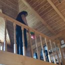 무릉펜션민박 이미지