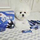 슈퍼포우