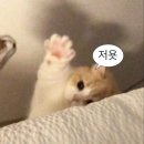 . | 🤍 웜스토리 아이폰 스냅 후기
