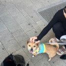 예림네일아트 이미지