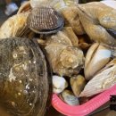 푸른뜰독채펜션 이미지