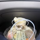 (주)인터불고 엑스코 | 대구 인터불고 엑스코 호텔 내돈내산 | 예비 며느리 인사드리러 가는길 - 대구 여행기