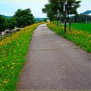 김화생활체육공원(축구장) 이미지