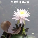 서동연가 이미지