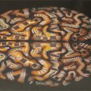 (주)엔토르 이미지