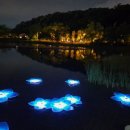 정원해물탕 이미지