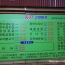 둥지실내마차 네이버블로그