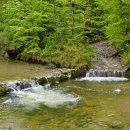 계곡의아침 이미지