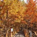 작전역사거리 3,4번 출구 앞 이미지