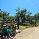 남대민박 이미지