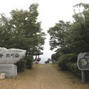 우암동 도시숲 이미지