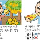 [신문은 선생님] [예쁜 말 바른 말] [294] ‘달콤새큼하다’와 ‘짭조름하다’ 이미지